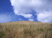 39 Tra cielo e terra